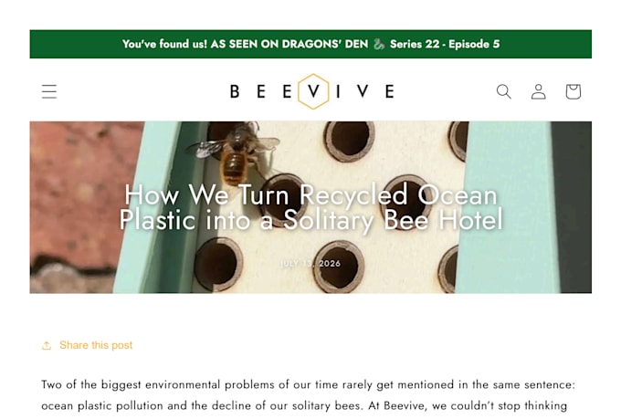write an SEO optimised blog for you
